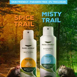 Park Avenue Men Naturel Spice Trail Deodorant with Essential Oils - Nutmeg Aroma - 100g image 5
