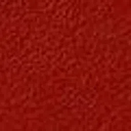 Forest Essentials Madhu Rasa Moisturizing Tinted Lip Serum Lipstick 2.2g - Anar Rasa image 5