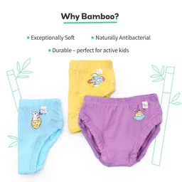 SuperBottoms Kids Pack Of 3 Printed Basic Briefs UND-BYBR-SM-SR-SS-9-12M-3P image 3