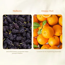 VLCC Set of 4 Skin Defense Face Washes - Neem + Anti-Tan image 5