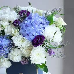 Soft Muse In A Blooming Mood image 4