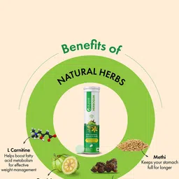 DR. VAIDYA'S Set Of 2 Herboslim Tablets - 15 Effervescent Tablets Each-Green Apple Flavor image 5