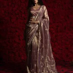 ri-wah Embellished Organza Saree with Running Blouse Piece-picture-17
