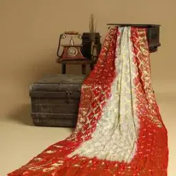 globus Women Floral Woven Dupatta-picture-37