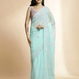 jaipur kurti Women Embellished Saree with Sequin Accent image 1