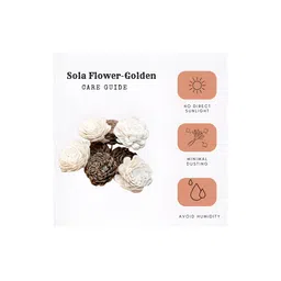 Artecasa Set of 8 Dried Golden & White Sola Flower image 5