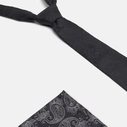 Blackberrys Men Printed Skinny Tie image 5