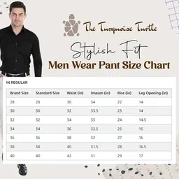 the turquoise turtle Men's Stretchable Solid Plain Formal Trousers – Regular Fit Stylish Pants for Office & Party, Fashionable Dress Trousers for Men image 5