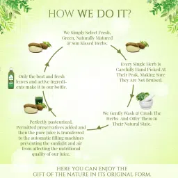 Axiom Vidarikand Juice| Helpful In Urinary Problems | Improves Lactation In Women - 500ml image 3