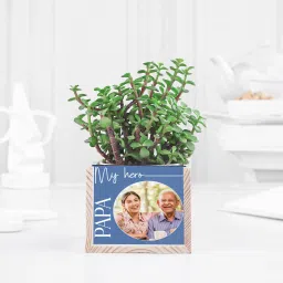 Best Dads Jade Oasis image 4