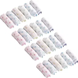 Bralux Disposable Panties (Pack of 24) - Multi-Color image 3