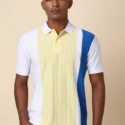 Allen Solly Men Colourblocked Polo Collar T-shirt-picture-45