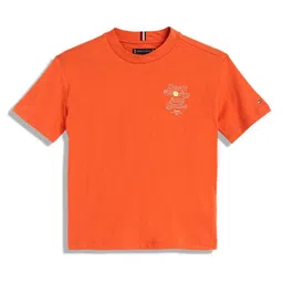 Tommy Hilfiger Boys Typography Printed Round Neck Cotton T-shirt-picture-42
