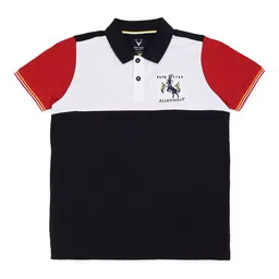 Allen Solly Junior Boys Colourblocked Polo Collar Applique T-shirt-picture-34
