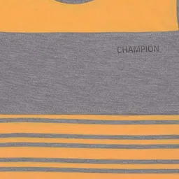 Dollar Champion Kidswear Boys Striped T-shirt image 3