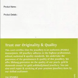 sri jagdamba pearls dealer 20 Grams Designer Oval Laxmi Silver Coin image 4