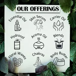 Deve Herbes Pure Tansy Essential Oil With Glass Dropper - 10 ml image 3