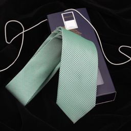 PELUCHE Men Green Checked Skinny Formal Tie-picture-34