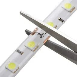 24V Cold White 5050 SMD LED Strip - 1Meter image 2