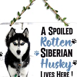 Arpita Crafts Pet Lover Wall Hanging image 2