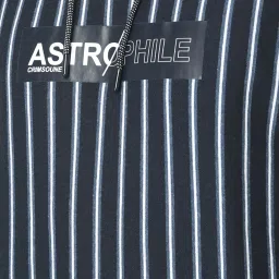 Crimsoune Club Navy Regular Fit Striped Hooded Sweatshirt image 4