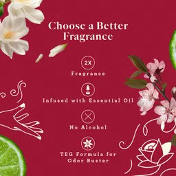 Adeha Room Air Freshener Spray -Waves of serenity and Whispering woods combo image 4