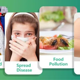 ali shipping Natural Cockroach Killer Powder for Kitchen, Bathroom & Cabinets – Eco-Friendly Indoor Pest Control with Boric Acid, Sugar & Flour – Safe Home Remedy for Long-Lasting Cockroach Elimination image 3