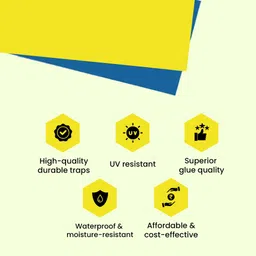 IFFCO Urban Gardens - Sticky Traps (Pack of 20) - Non-Toxic, Chemical Free Traps - Yellow for Aphids, Whiteflies, Jassids & Blue for Thrips, Leaf Miners - Durable, Waterproof, Safe for Plants image 3