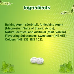 skittles Doublemint Sugarfree Mints Sleeve Box Peppermint Flavour Chewing Gum Mint Gums for Instant Freshness easy to carry 20 Sleeves per Box 64 gm image 3