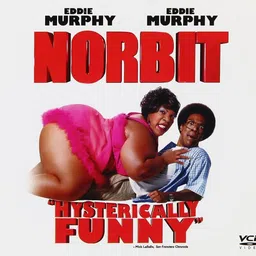 DKD Norbit VCD in English image 1