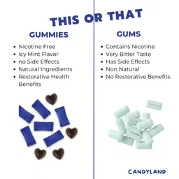 Candyland Don't Smoke Just Chew - Nicotine Free Quit Smoking Gummies | Helps to Quit Smoking | Sugarfree & Non Addictive | 30 Gummies in Icy Mint Flavor image 4