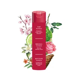 Adeha Room Air Freshener Spray -Waves of serenity and Whispering woods combo image 2