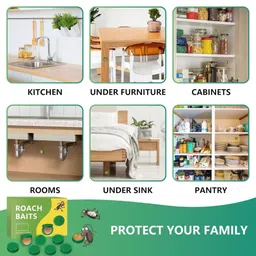 ali shipping Natural Cockroach Killer Powder for Kitchen, Bathroom & Cabinets – Eco-Friendly Indoor Pest Control with Boric Acid, Sugar & Flour – Safe Home Remedy for Long-Lasting Cockroach Elimination image 5