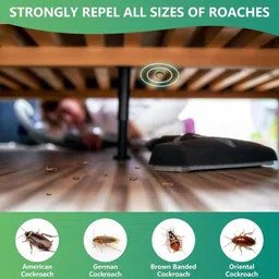 ali shipping Natural Cockroach Killer Powder for Kitchen, Bathroom & Cabinets – Eco-Friendly Indoor Pest Control with Boric Acid, Sugar & Flour – Safe Home Remedy for Long-Lasting Cockroach Elimination image 4