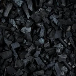 Go Garden Go Horticultural Charcoal for Orchid/Succulent/Adenium/Terrarium Potting, Ornamental Plants and Other Gardening Purposes - Natural Filter 450 G image 5