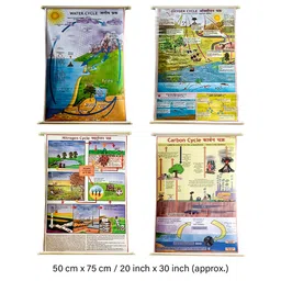 Pryogshala Water Cycle, Oxygen Cycle, Nitrogen Cycle, Carbon Cycle Set of 4 lamination Charts in English/Hindi combined language, [Size 50x75cm] Wall hanging. image 3