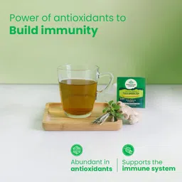 A TATA Product - Organic India Tulsi Green Tea Lemon Ginger - 50 Teabags, Herbal Blend with Green Tea, Tulsi, Lemon & Ginger, Supports Digestion, Refreshing Taste, Natural Ingredients image 3