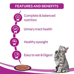 Whiskas Adult (+1 Year) Wet Cat Food, Ocean Fish, 80G Pouch, 1 Count image 4