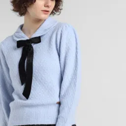 Only Light Blue Regular Fit Sweater-image-73