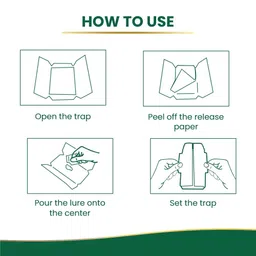 Gumtree Roach Trapp (Pack of 5) – Eco-Friendly Cockroach Trap with Roach Bait & Repellent | Non-Toxic Cockroach Killer for Kitchen, Room, Bathroom, Pantry | Roach Repellent & Bait image 5