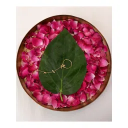 Tangerine Netra Nose Ring with Chain image 2