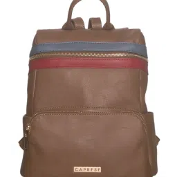 Caprese Brigetta Brown & Red Color Block Backpack image 1