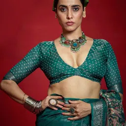 Meena Bazaar Ethnic Motifs Printed Zari Saree image 2