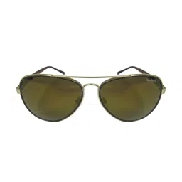 Pepe Jeans PJ5142 Brown Aviator image 1