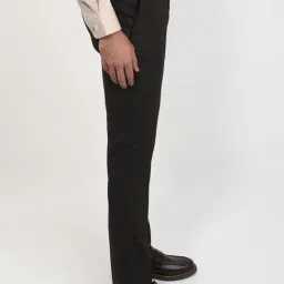 Raymond Dark Grey Checked Regular Fit Trousers image 3