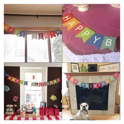 AMFIN Banner for Birthday - Multicolor image 5