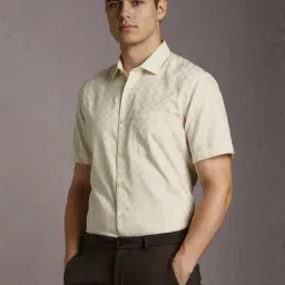 Louis Philippe Beige Cotton Regular Fit Texture Shirt image 3