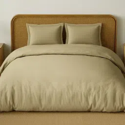 Spaces Organic Brown Cotton 180 TC Double Bedsheet with 2 Pillow Covers-picture-43