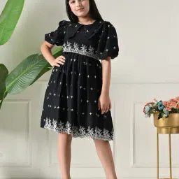 Bella Moda Girls Black Cotton Embroidered Dress-image-98