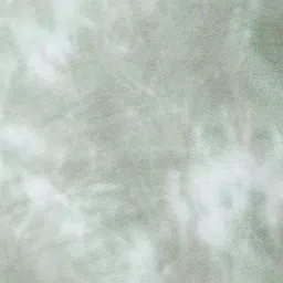 Smileyworld Sage Green Cotton Regular Fit Printed T-Shirt image 4